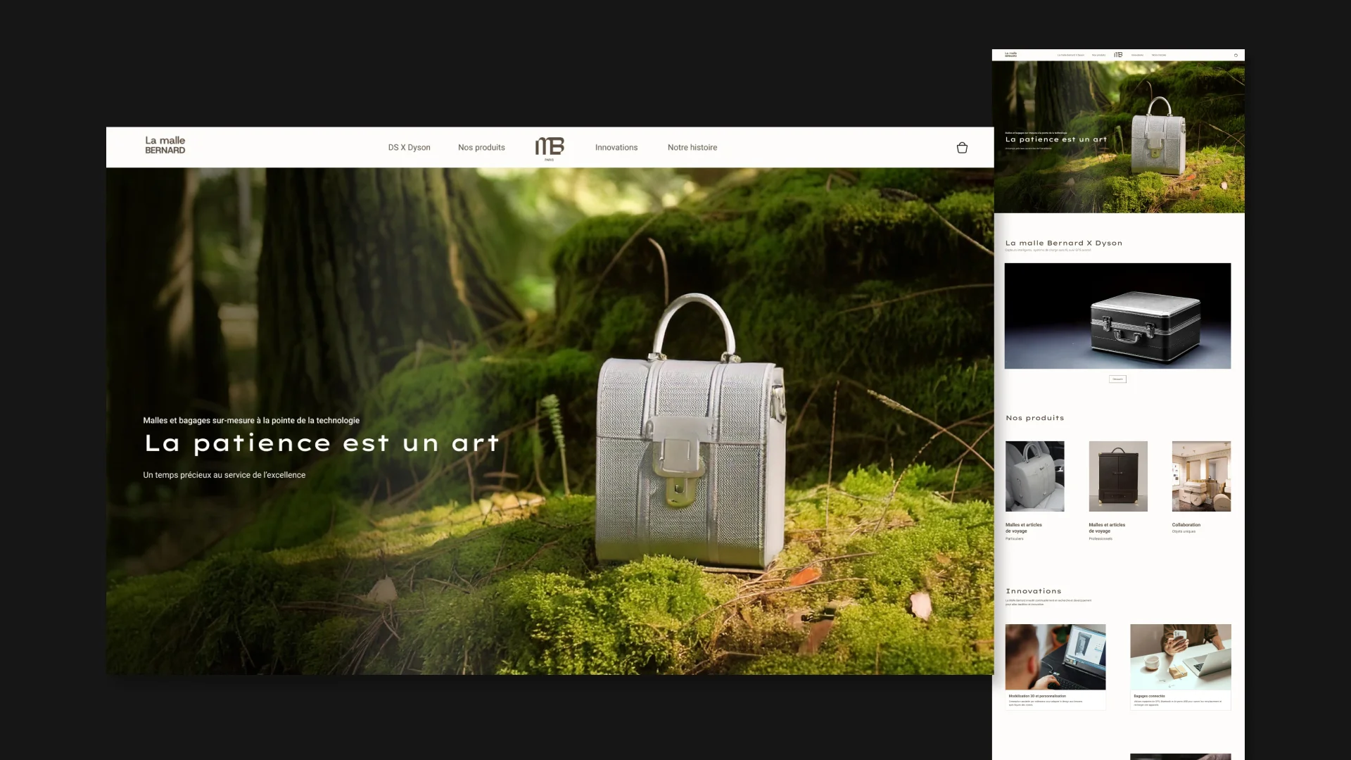 aperçu page d'accueil