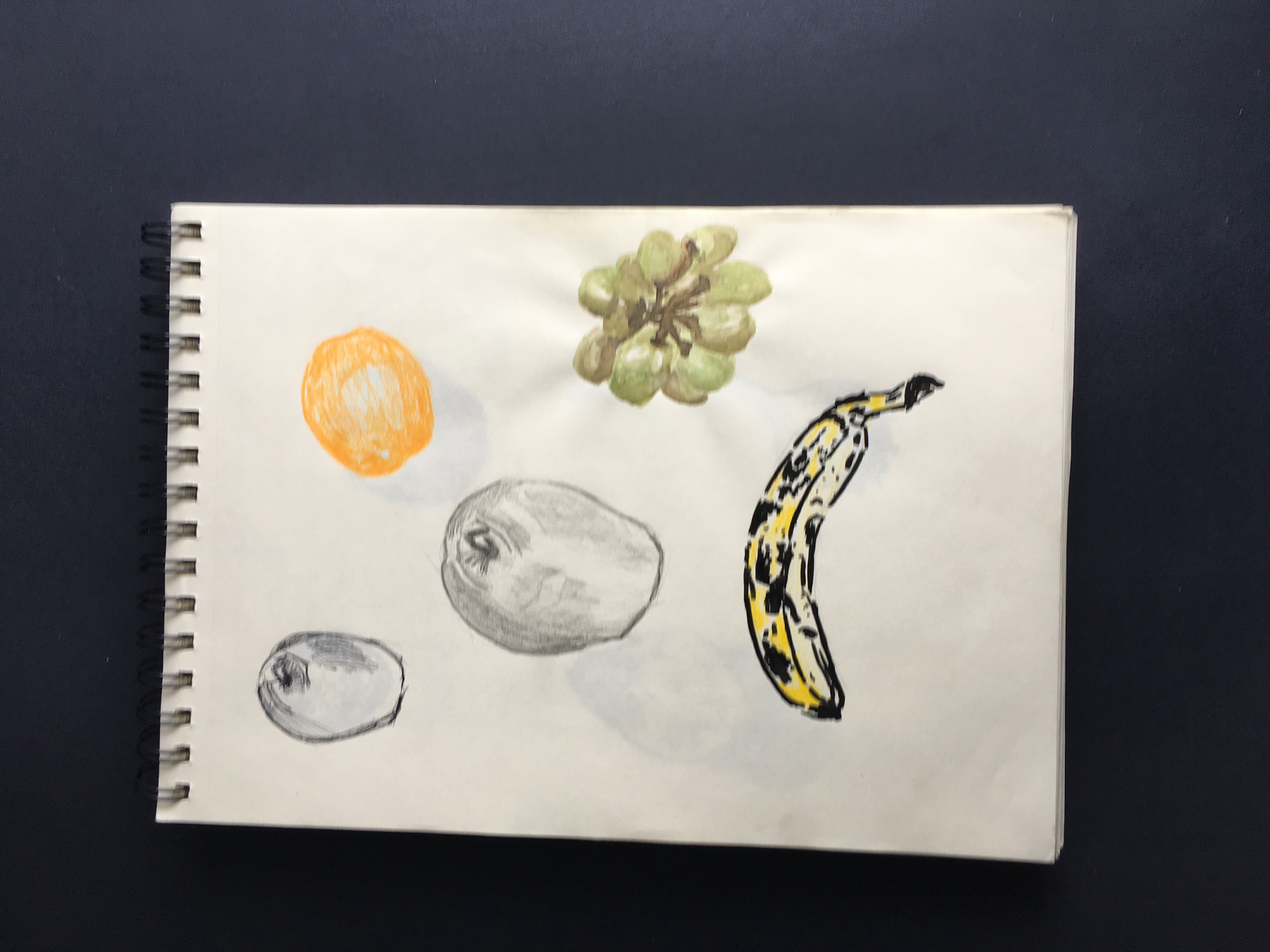 dessins observation natures mortes