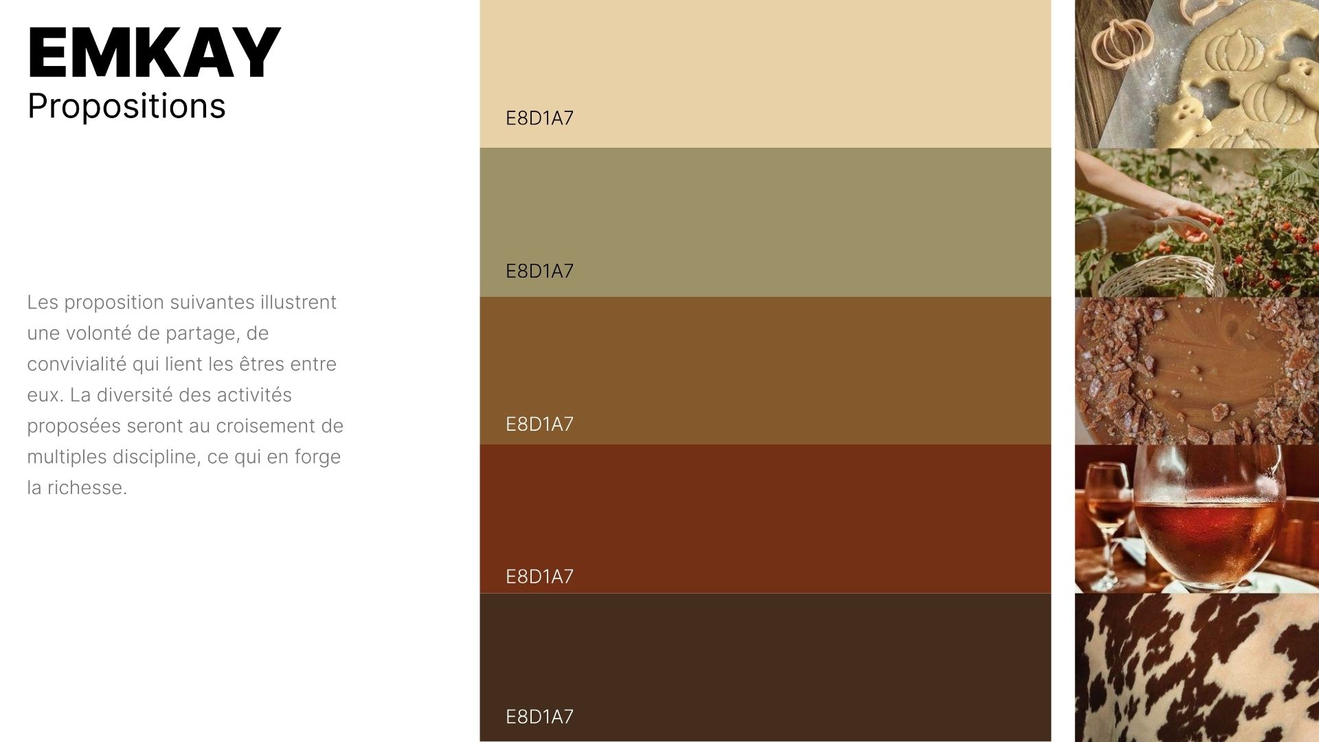 planche recherches 1