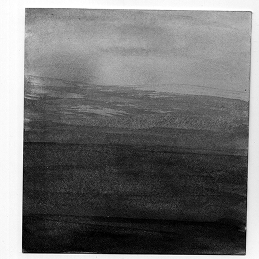 lavis dégradé encre de chine