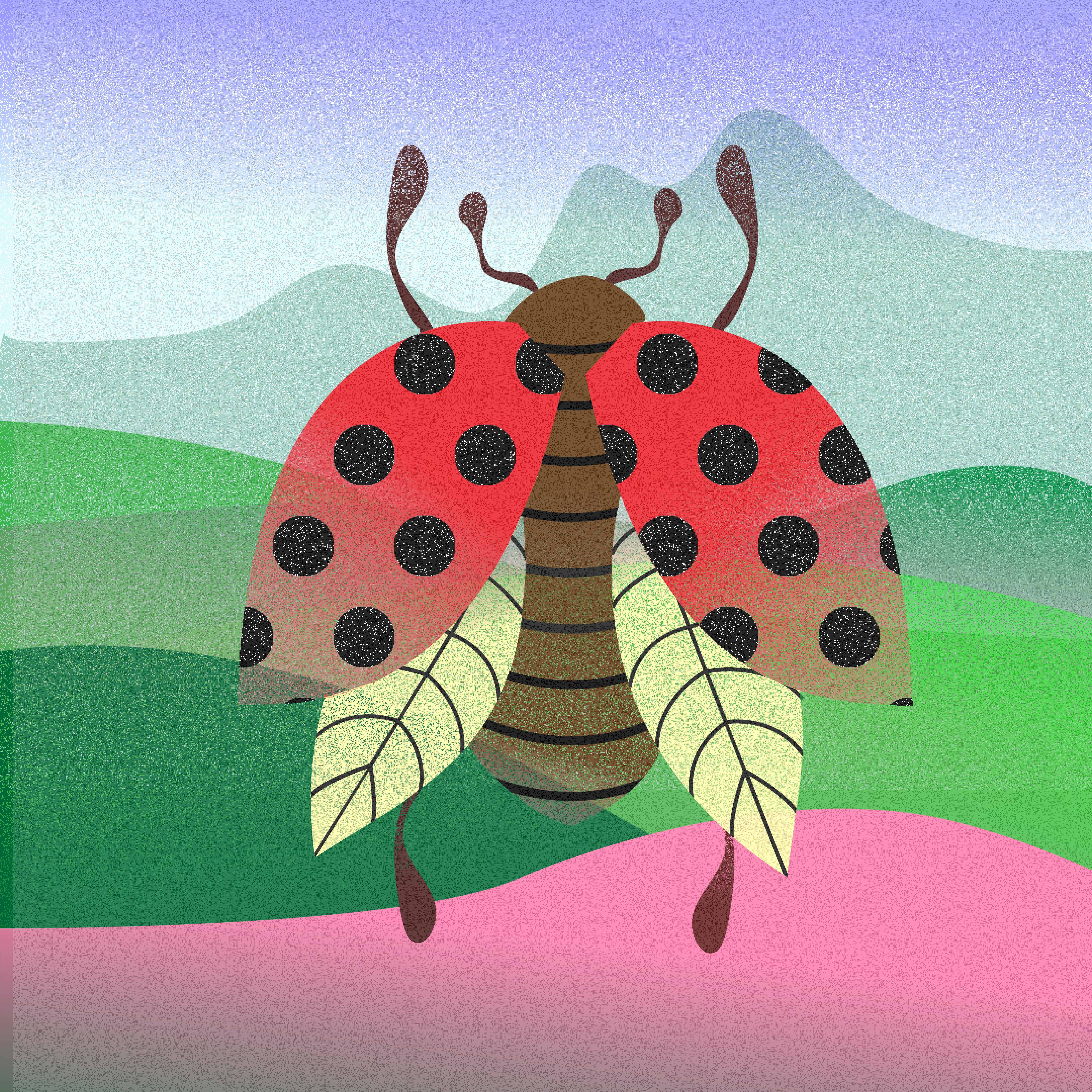 coccinelle