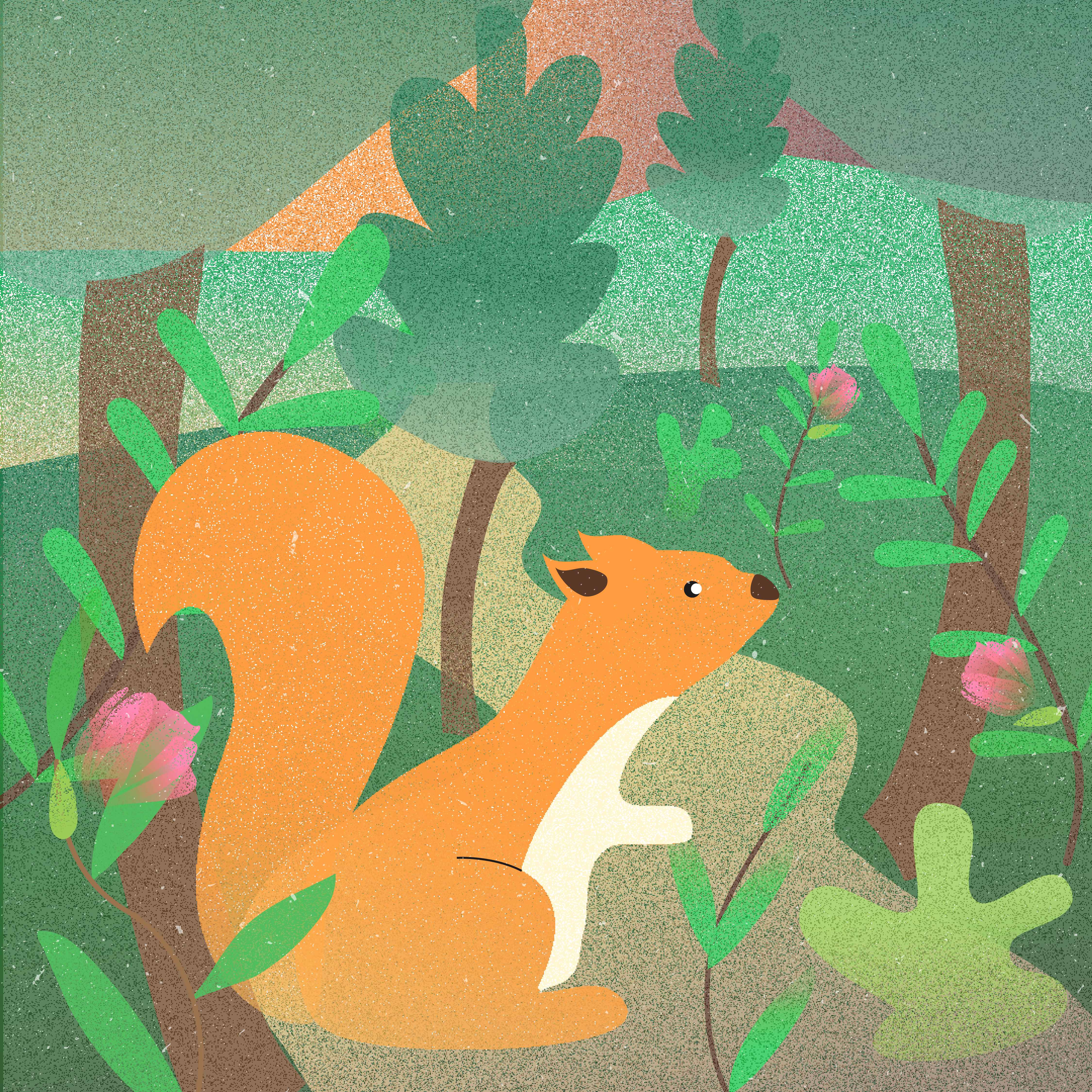 écureil dans la forêt