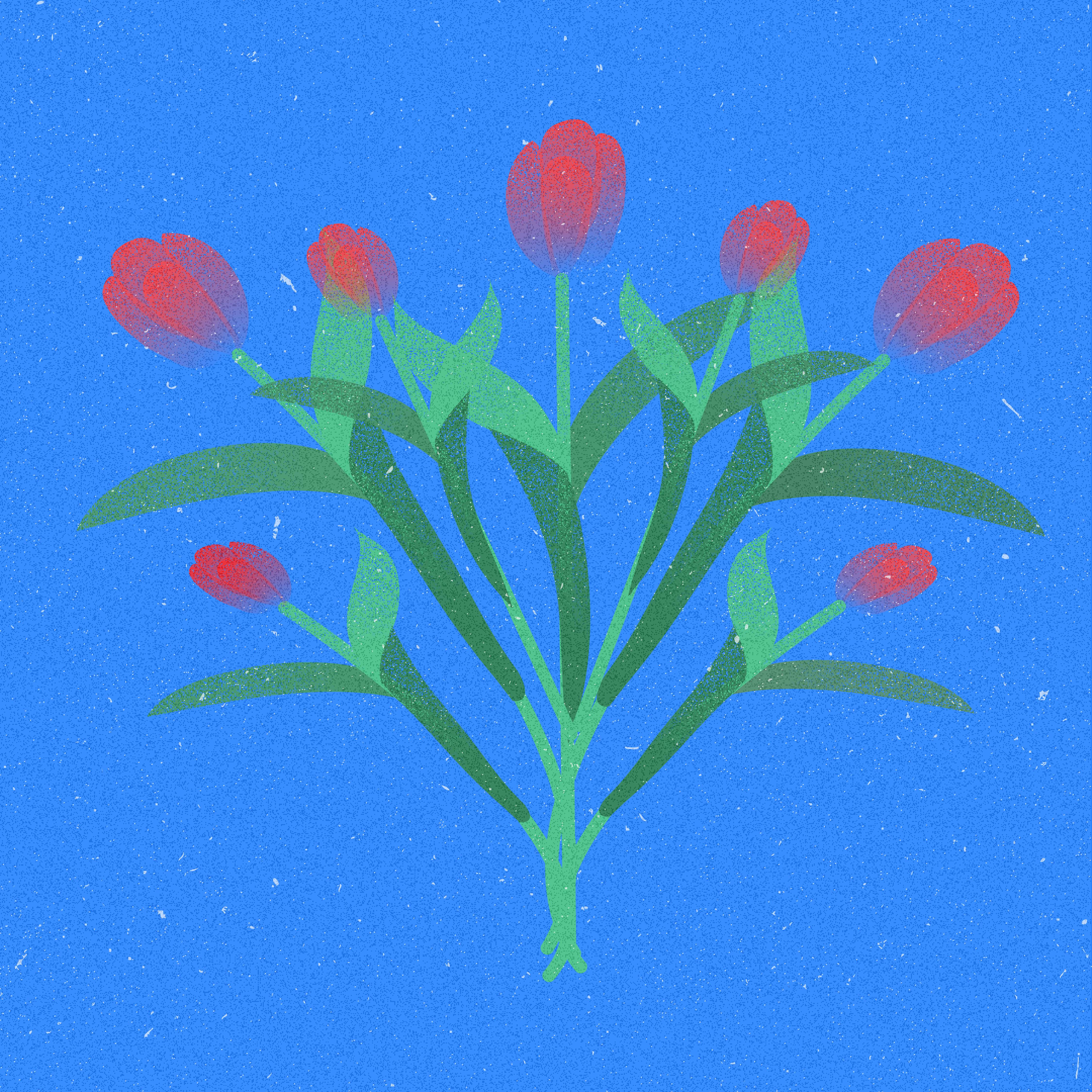 tulipes sur fond bleu