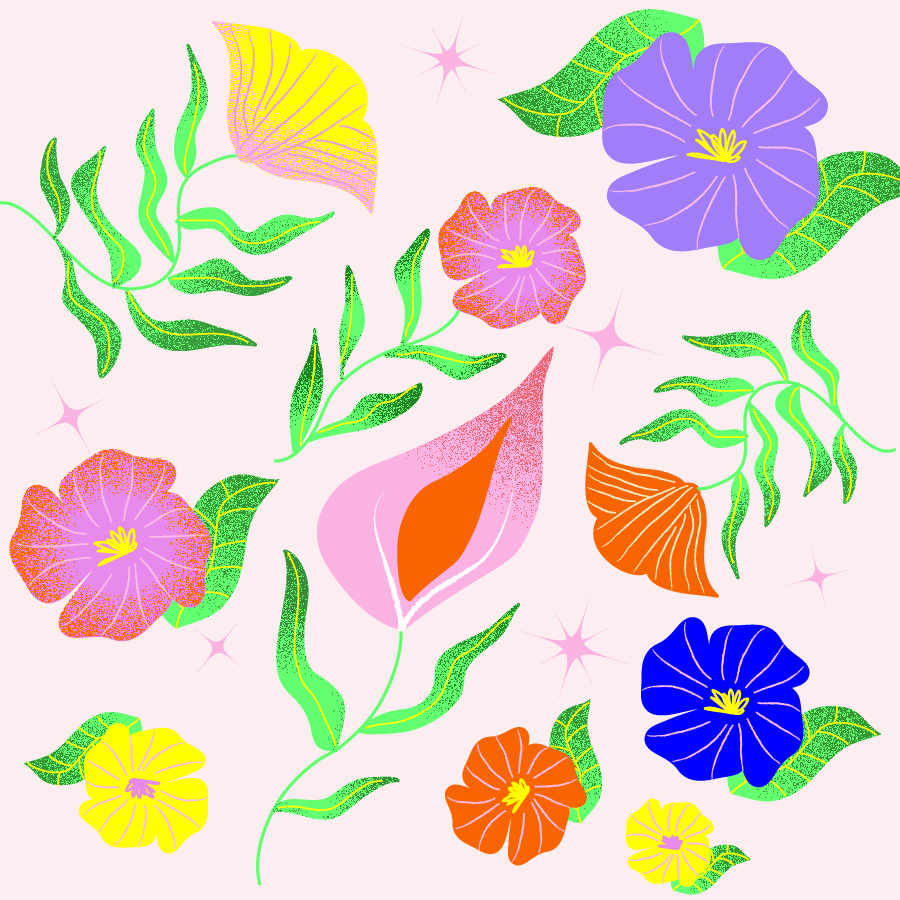 illustration fleurs fond rose