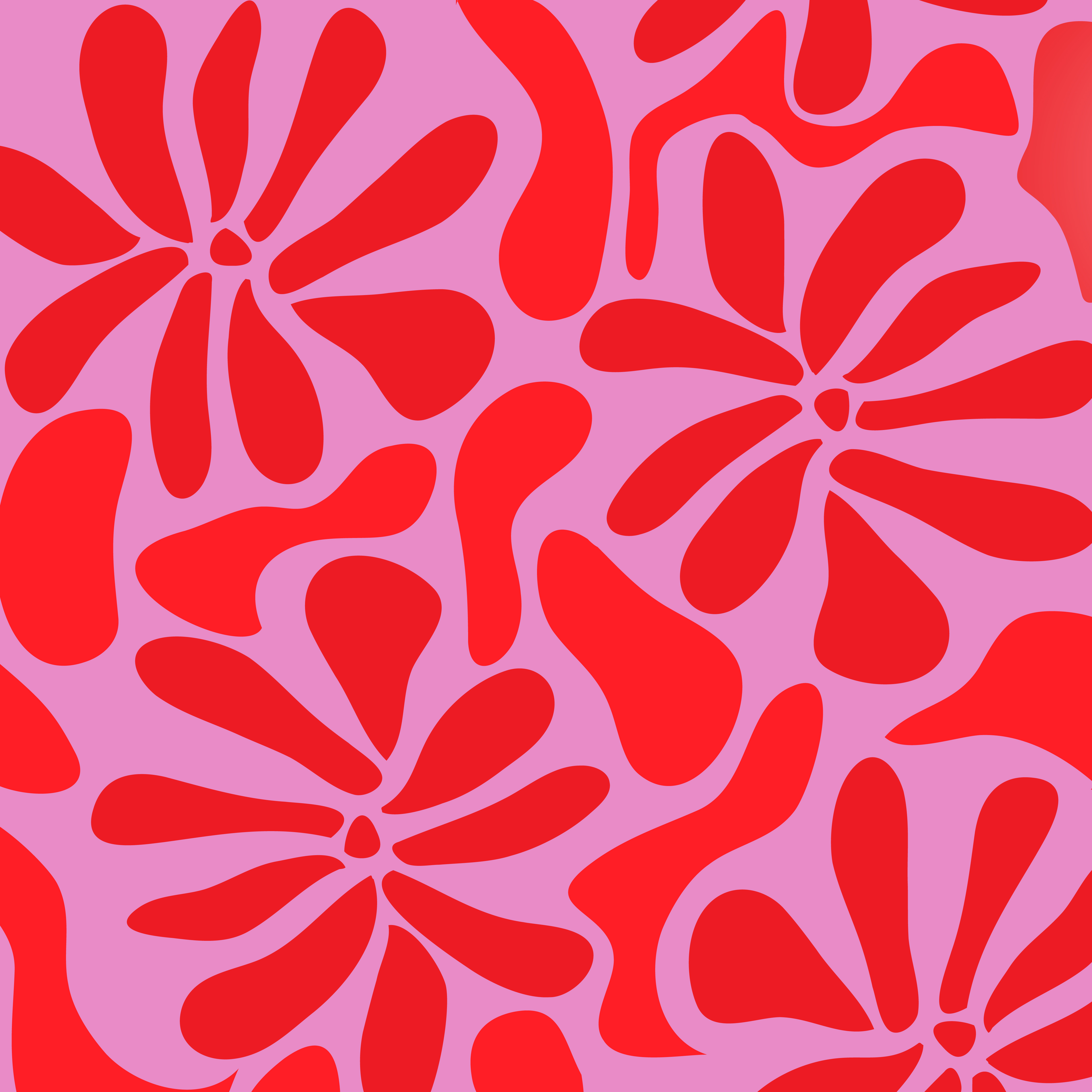 fleurs rouges et roses