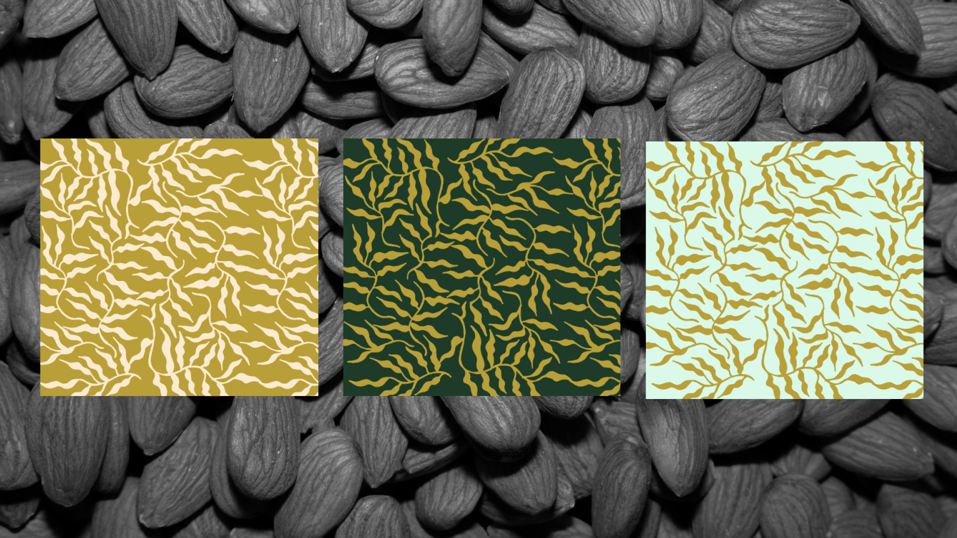 3 motifs sur fond d'amandes