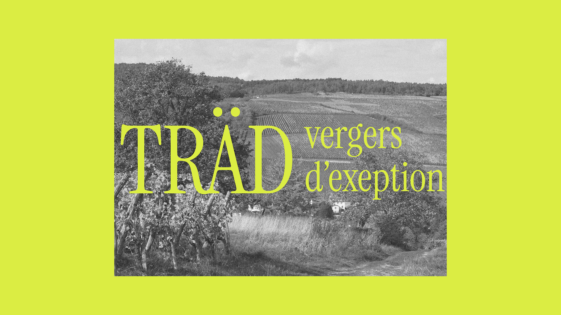visuel trad vergers d'exception sur fond vert pomme