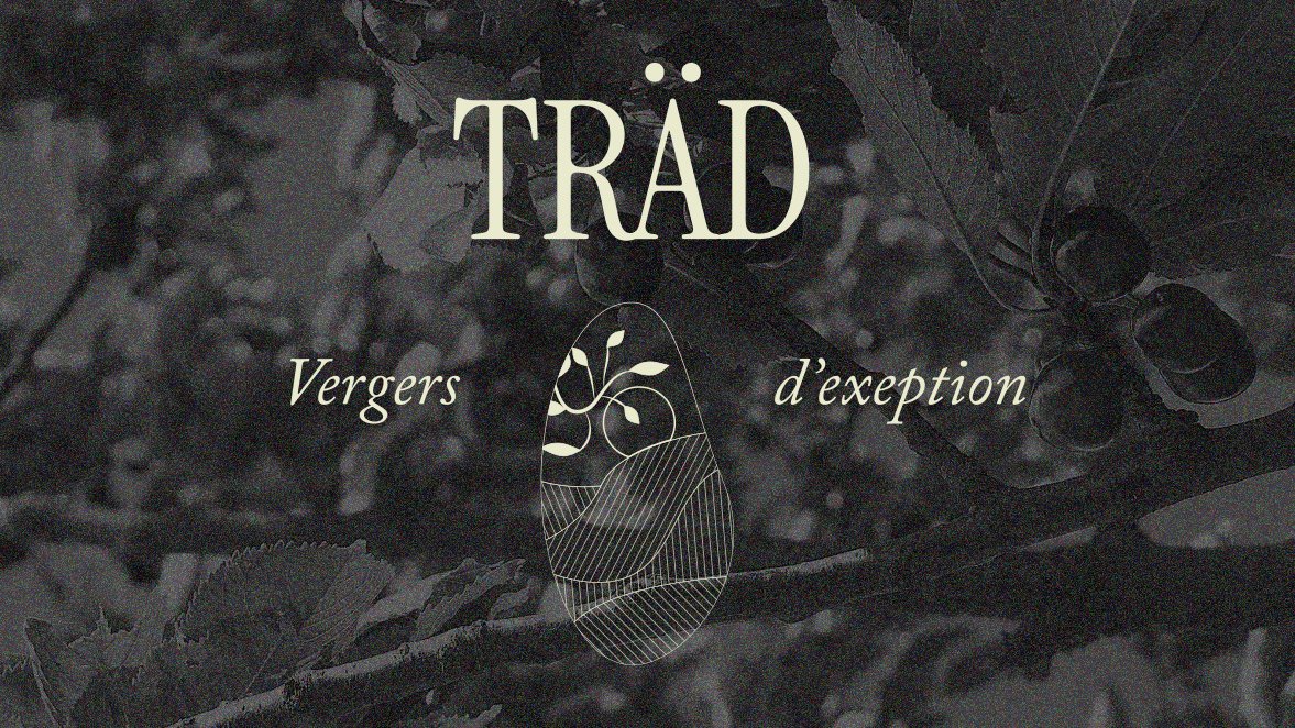 logo trad