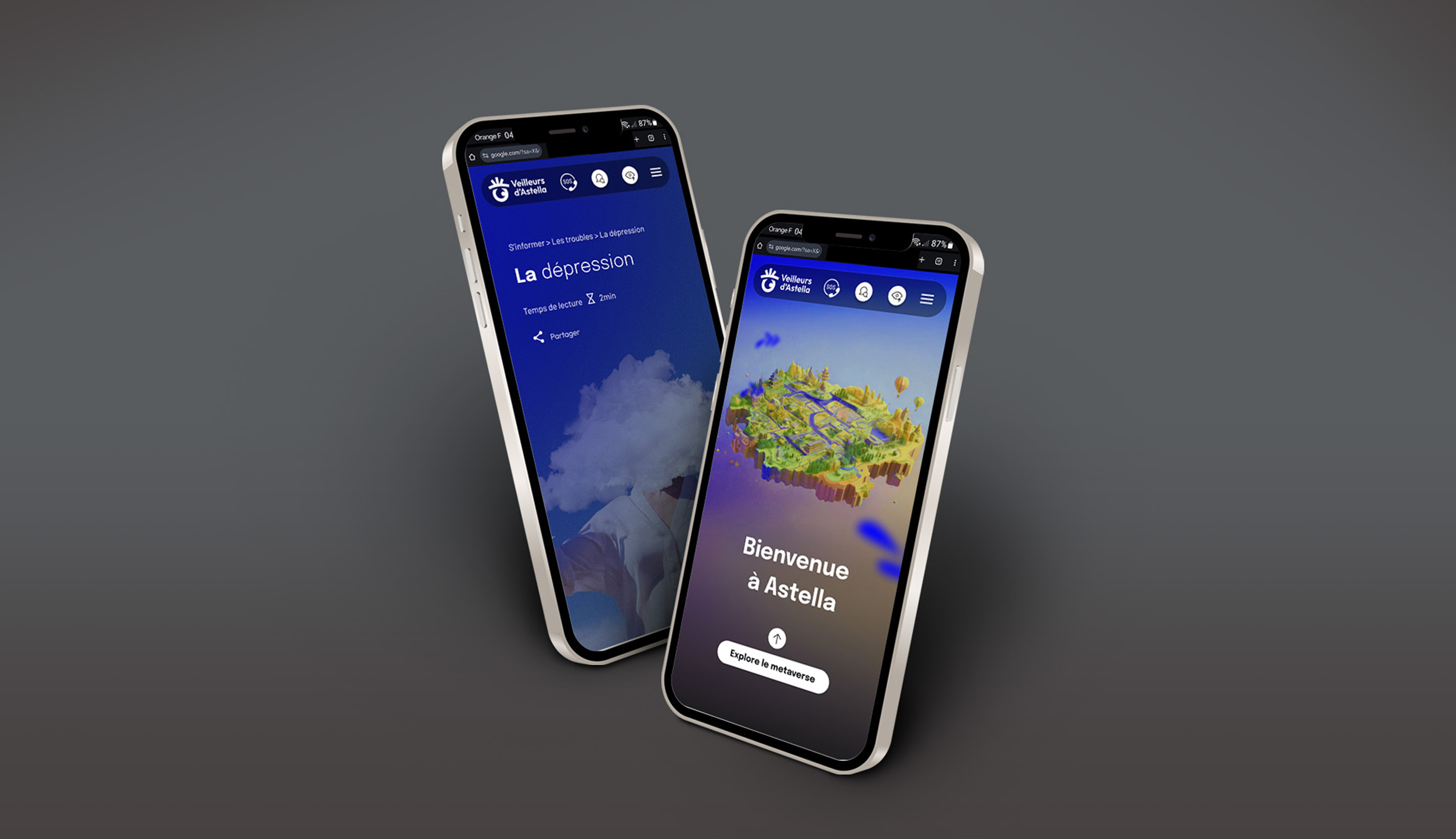 aperçu du site sur un mobile